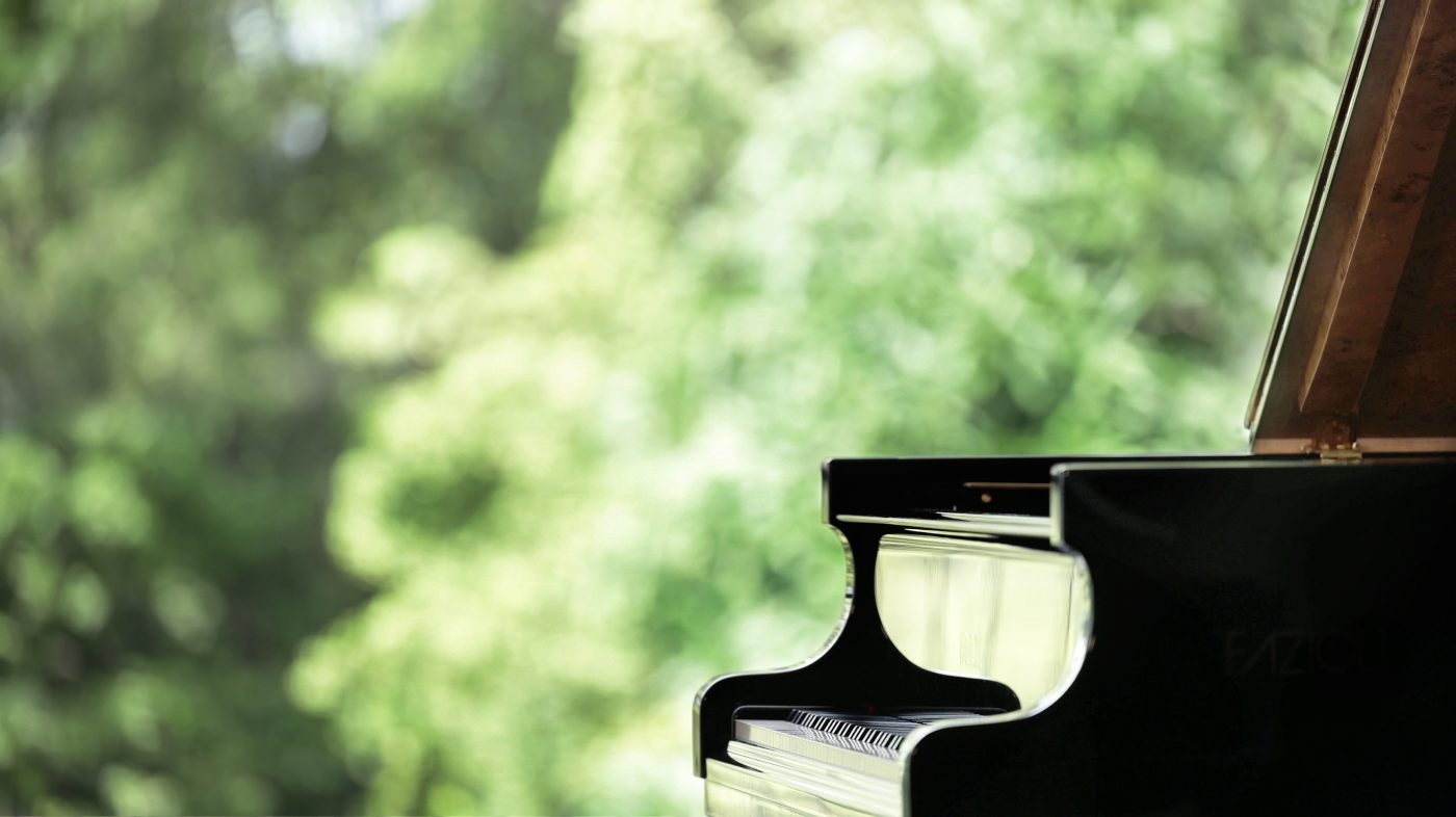 A piano for the rainforest