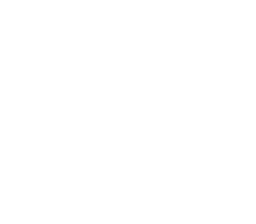 Brooklyn International Cinefest, Winner 2025